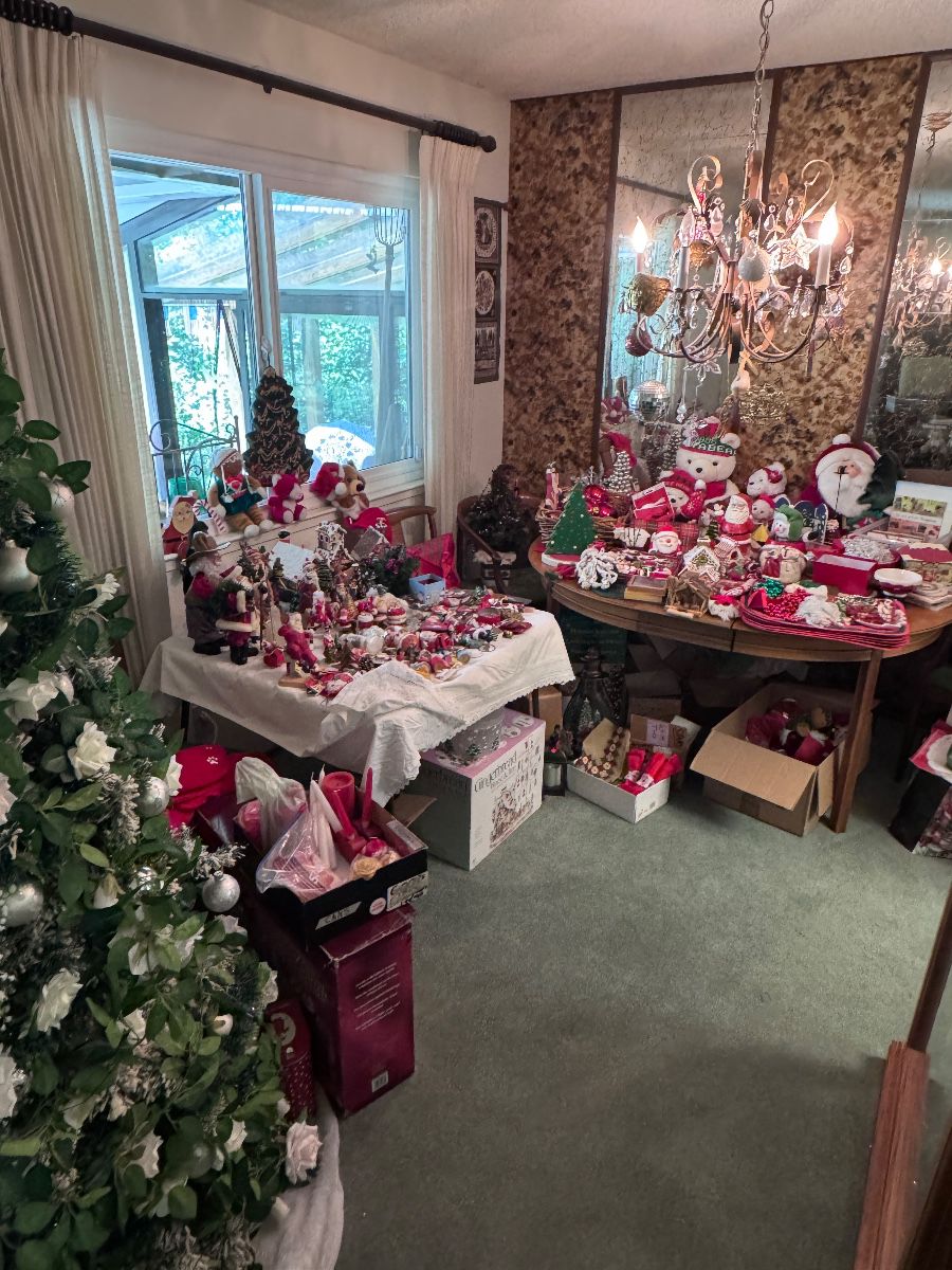 100-Year-Old Actress, Teacher, Books, Music, Animal & Christmas Lover