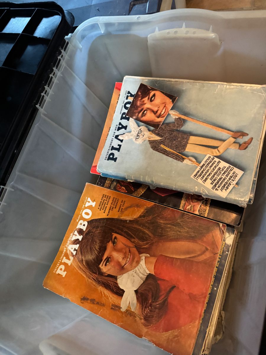 Antiques and collectibles - Image 12