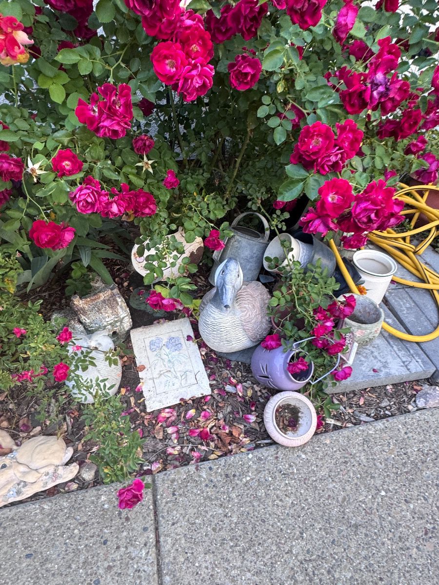 Hidden Gems Everywhere in Tracy, CA - Image 154