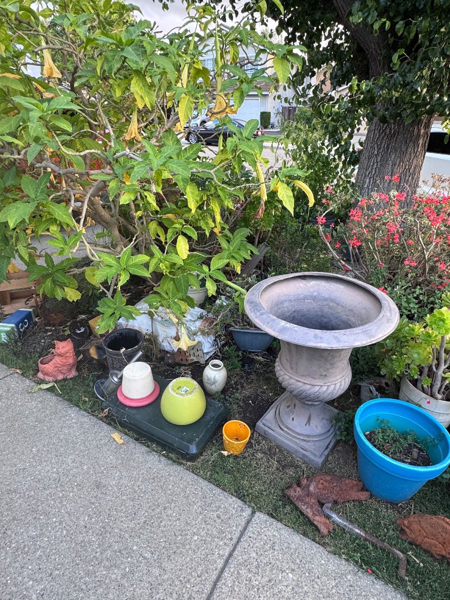 Hidden Gems Everywhere in Tracy, CA - Image 155